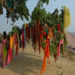 Vraj-Yatra-2014- (1738)